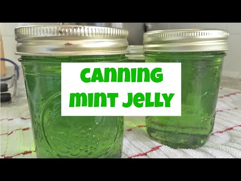 download lagu mp3 mp4 Canning Mint, download lagu Canning Mint gratis, unduh video klip Canning Mint