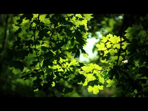 Thể hiện bởi Bằng Kiều