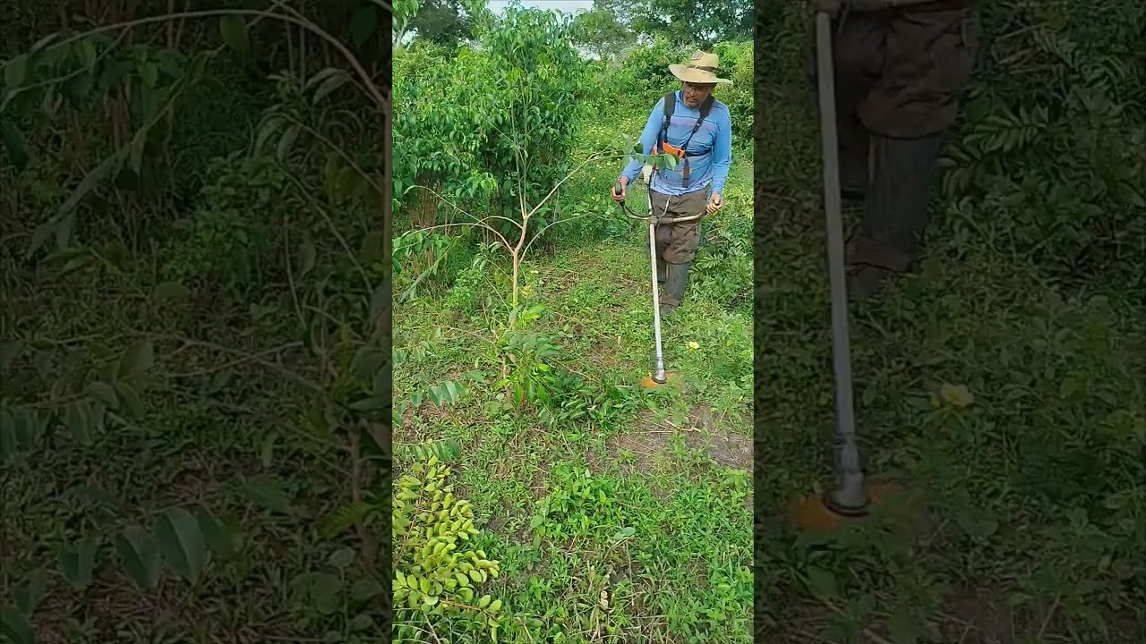 DEBROUSSAILLEUSE PRO STIHL FS561c