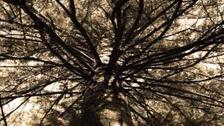 Shape of Despair - Quiet These Paintings Are - part 1