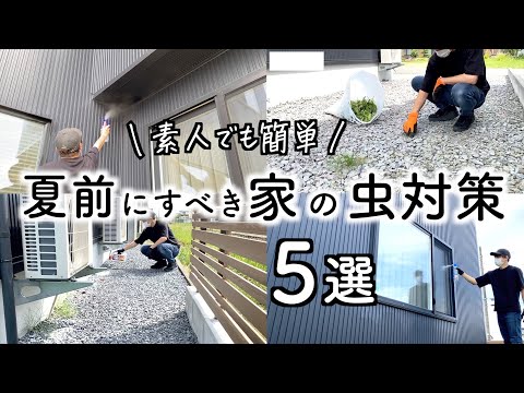 タイムトップ5の防虫植物