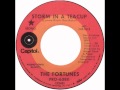 Fortunes – “Storm In A Teacup” (Capitol) 1972 