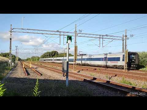Trains at Båstad station (Gumminase) [Full HD]