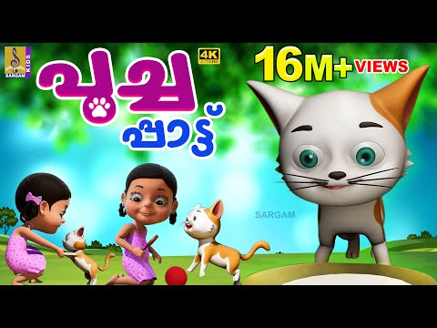 പൂച്ച പാട്ട് | Cat Cartoon Song | Poochapattu #cartoon #cartoonsforkids #catcartoons #cat #catsong