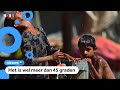 Hittegolf in India: 'Niet normaal dat het nu al zo warm is'