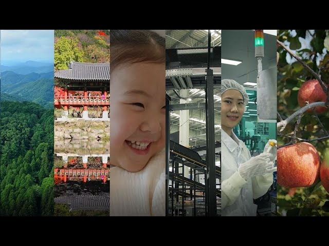 장성군의 새로운 도시브랜드 BI를 소개합니다.