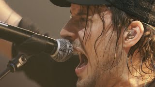 Bridges Music Video
