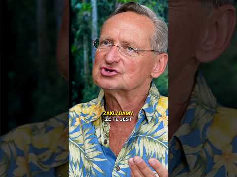 Jak działa ayahuasca?