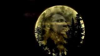 Paul McCartney   Tiny Bubble