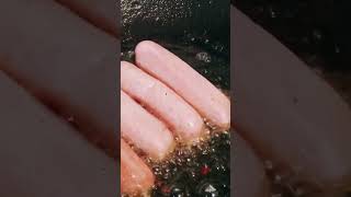 Chapatis with sausage curry