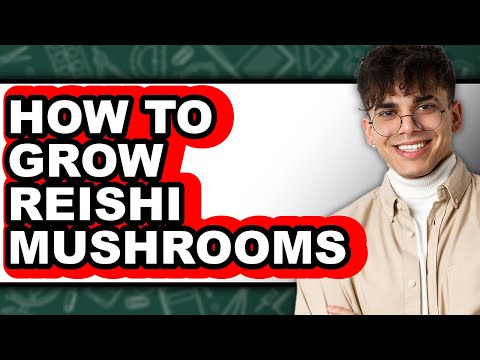 How To Grow Reishi Mushrooms (Full Guide)
