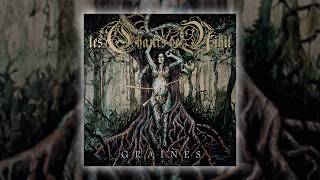 LES CHANTS DE NIHIL - Graines: L'imprégnation (Track Premiere)