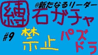 【パズドラ】ガチャ縛り＃９　新たなるリーダー