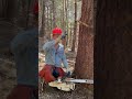 Why I Wear a Hardhat w. Chainsaw. The Incident