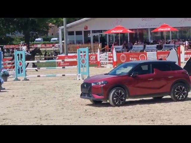 Darkos SODH super cheval d'école inarrêtable  