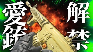 [Warzone3] COD代々受け継がれし愛銃を解禁した結果