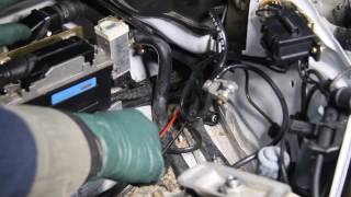 Mice Damage in Your Engine Compartment and How to Prevent It!