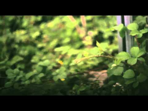 Karmah Cruz - Ted Bundy (0-100) | Video by @PacmanTV @KarmahCruz