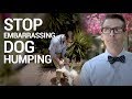 Stop Embarrassing Dog Humping Training Timeout And No Punishment Method