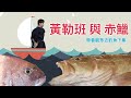 香港釣魚 2020 帶住觀眾去石仔排 釣魚 下集（片尾有下期南北緯灘釣魚記預告 影片簡介有約組 釣魚團資料）