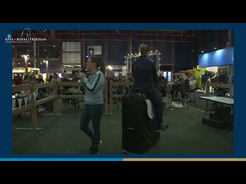 HK 2026 – Welke invloed heeft jouw houding en zit op je paard? | Anne-lys Herder van #ruitergeluk