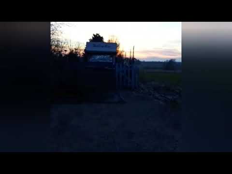 Longboard Compilation 2019