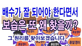 배수가 잘 되어야 한다면서 보습은 또 왜 찾을까?(토양 적정 수분, 떼알구조, 토양수분 종류, 중력수, 모관…