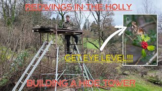 PHOTOGRAPHING REDWINGS - WINTER MIGRANTS - GETTING EYE LEVEL