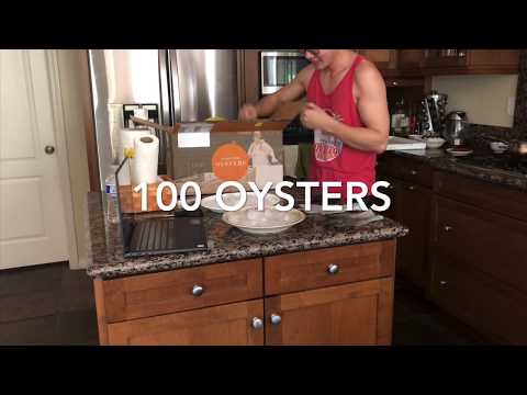 100 OYSTERS