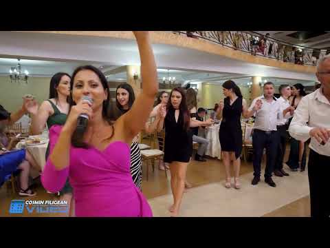 SARBA PE SISTEM OLTENEASCA cu Daniel Negricea si Impact Band Valcea COLAJ 2024 Nunta OLTENIA