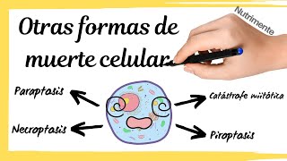 Otras formas de MUERTE CELULAR [Paraptosis, piroptosis, necroptosis y catástrofe mitótoca]