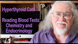 Hyperthyroid Cat: Reading Blood Test Results (Chemistry, Endocrinology)