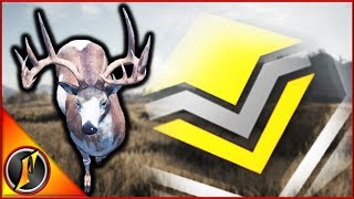 How I Grind for Whitetail | Featuring a PIEBALD DIAMOND!