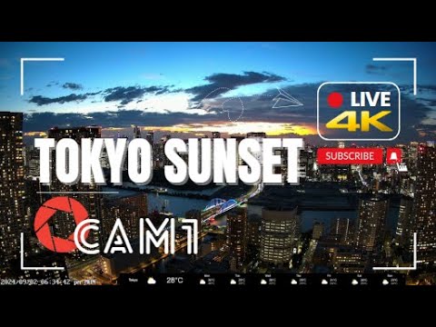 Live webcam view of Tsukiji Redevelopment & City Skyline