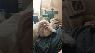 Download lagu self encouragement mp3