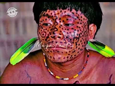 "Meet the Yanomami Tribe: A Culture into Endocannibalism"