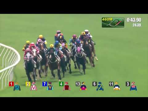 11/9/2022 (2) Strive For Glory - Z Purton