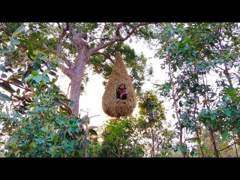Building the beautiful big bird nest house on the tree