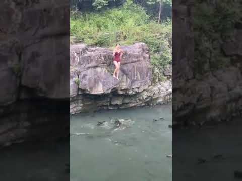 FOI COMIDA PELOS JACARÉS 🙄🤔