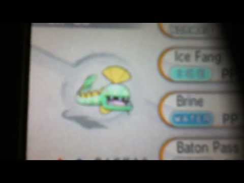 Pokemon X and Y Shiny Huntail