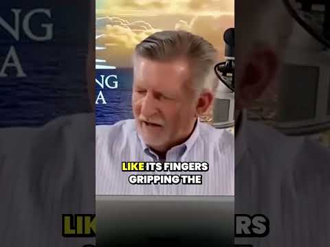 The Strength of Deep Roots: How Resilience in Life Mirrors Nature