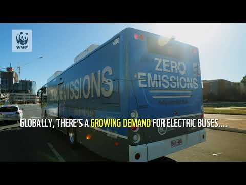 Electric bus revolution | WWF-Australia