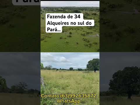 Fazenda de 34 Alq. A venda no Pará em Santa Maria das Barreiras PA#agro
