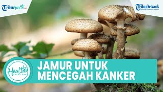 Segudang Manfaat Konsumsi Jamur untuk Kesehatan Tubuh: Cegah Kanker hingga Meningkatkan Imunitas