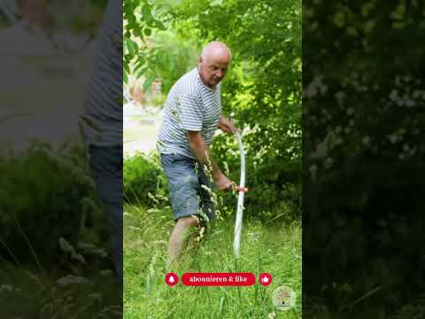 Mosaikmahd statt Kahlschlag: Anleitung für mehr Artenvielfalt