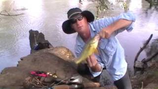 preview picture of video 'Golden perch catch and release on Ausspin lures .Wagga Wagga'
