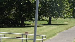 Police investigate sexual attack on trail in Republic, Mo.