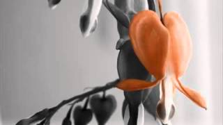 Bryan White - You Know How I Feel