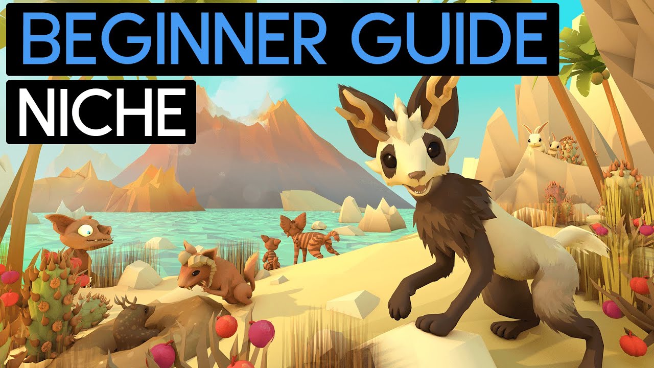 My BEGINNER GUIDE for NICHE!