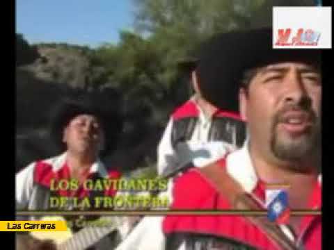 Los Gavilanes de la Frontera  - De Aquí Volví y Aquí Llegaron  - VideoMix